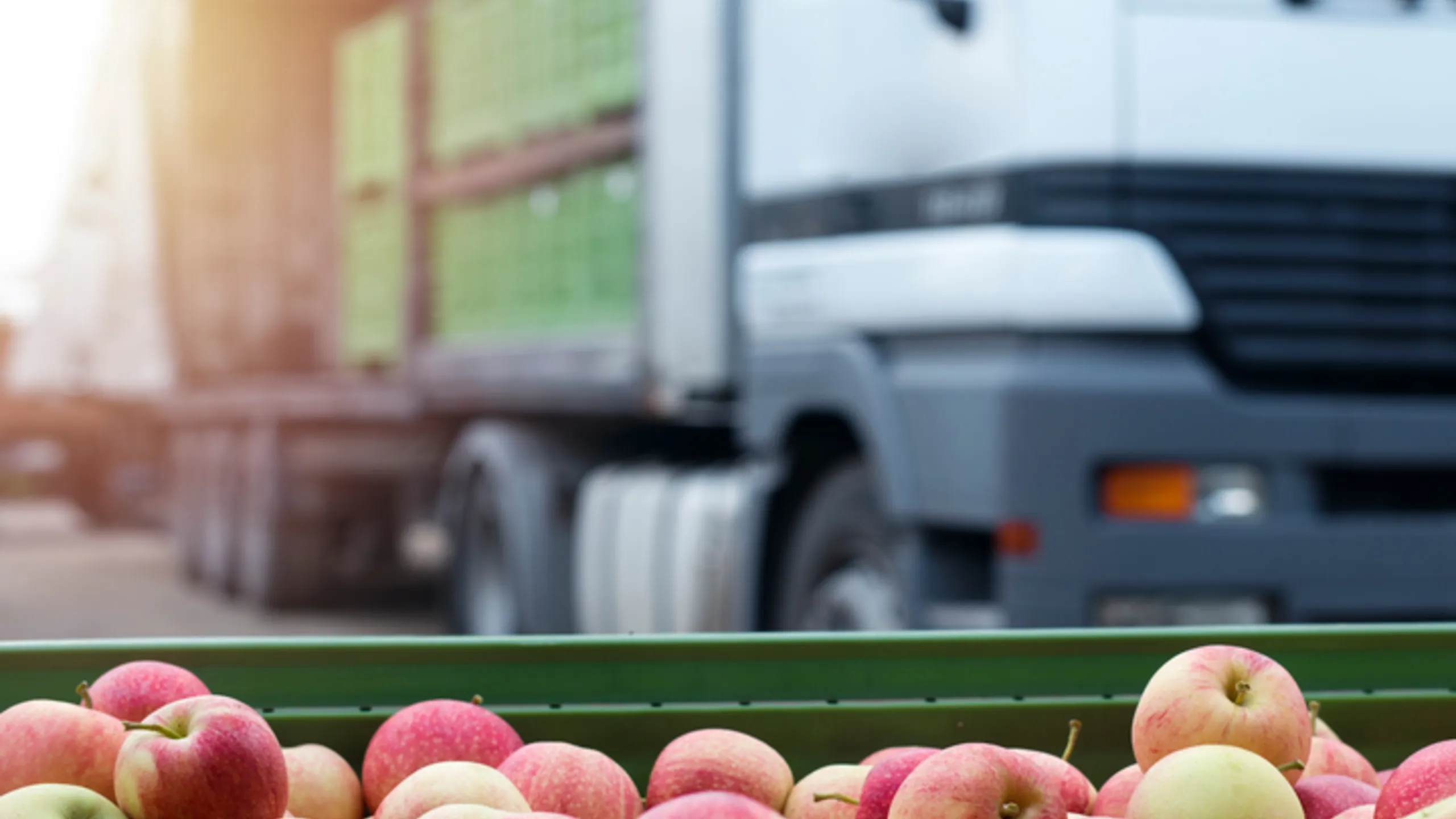 A truck loaded with apples