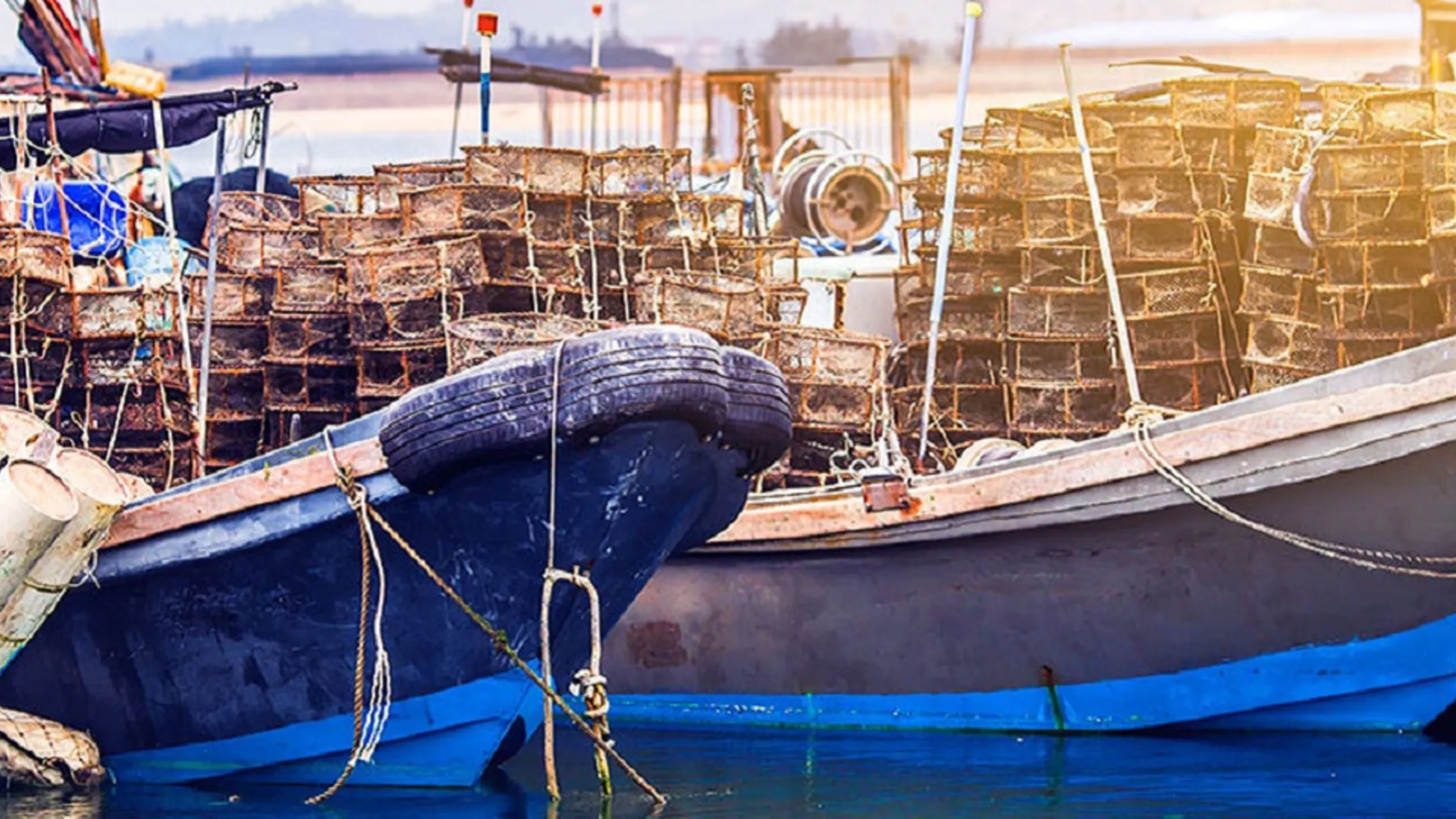 Fishing boats in harbour
