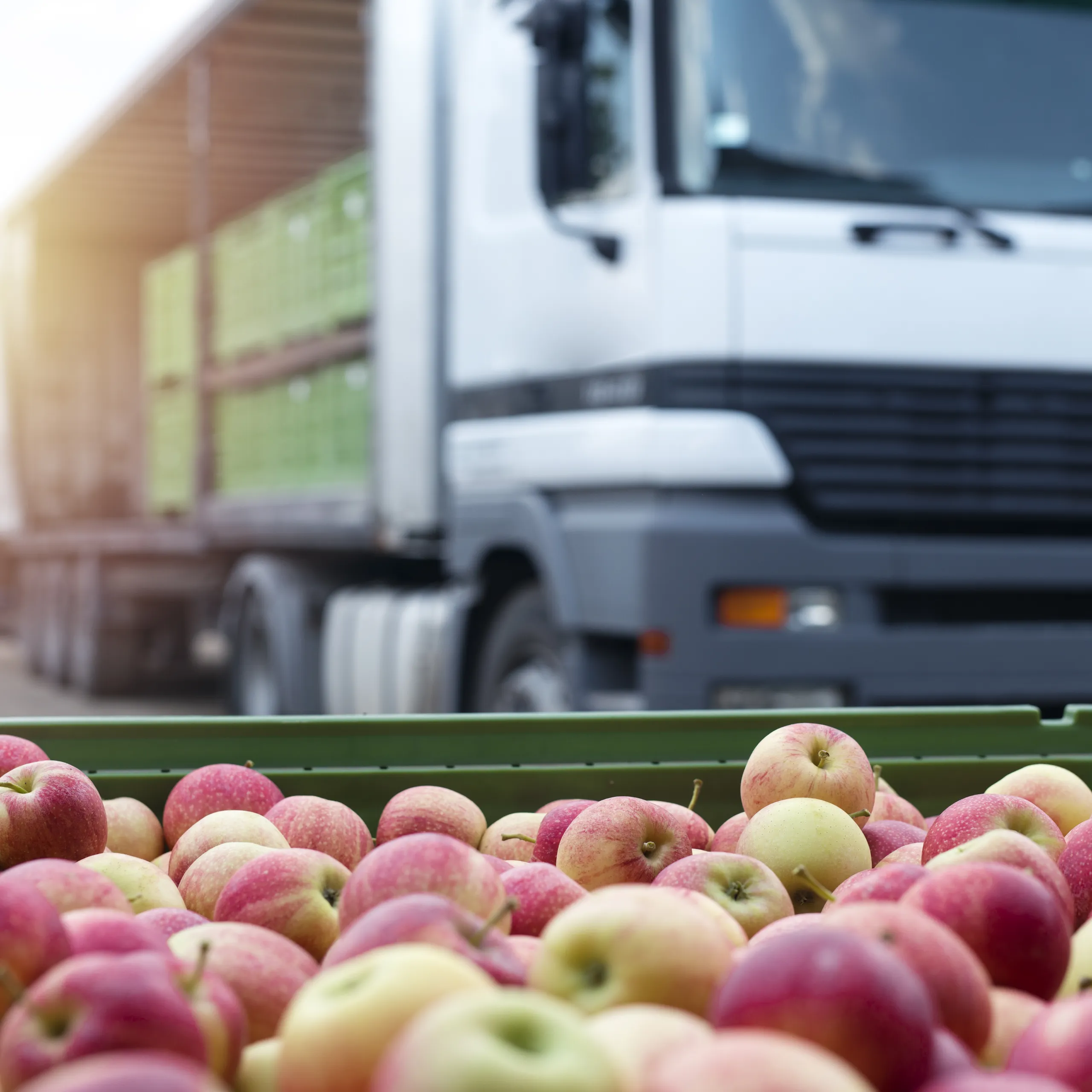 Cost optimization OptiFlow